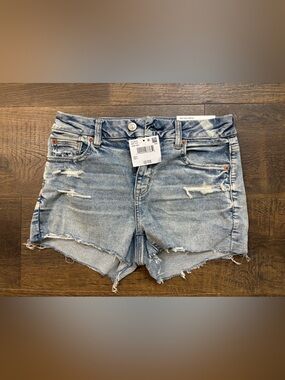 American Eagle Outfitters Light Wash Distressed Denim Shorts